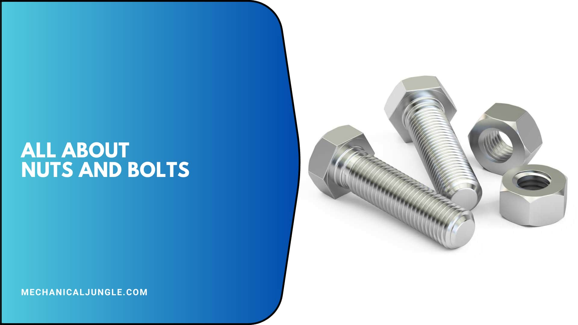 Nuts and Bolts: Functions, Types, and Differences Explained